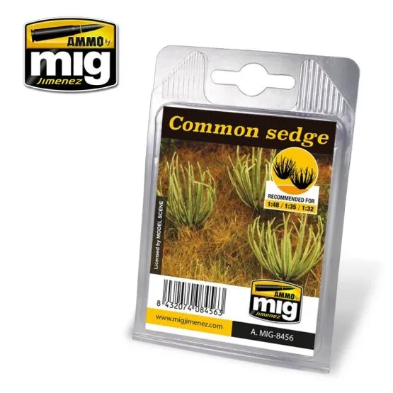 Common sedge (Segge)