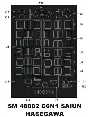 C6N1 Saiun mask for Hasegawa 1:48