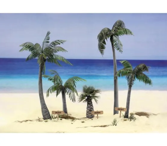 Leaves Palm Cocos Nucifera colour 1:35