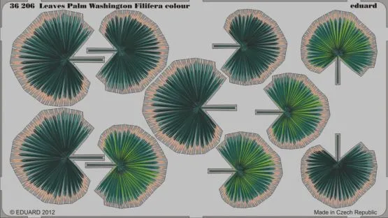 Leaves Palm Washington Filifera colour 1:35
