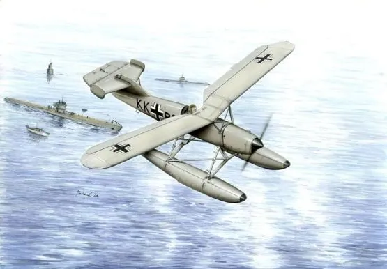 Arado Ar 231V-2 with Different Tail 1:48