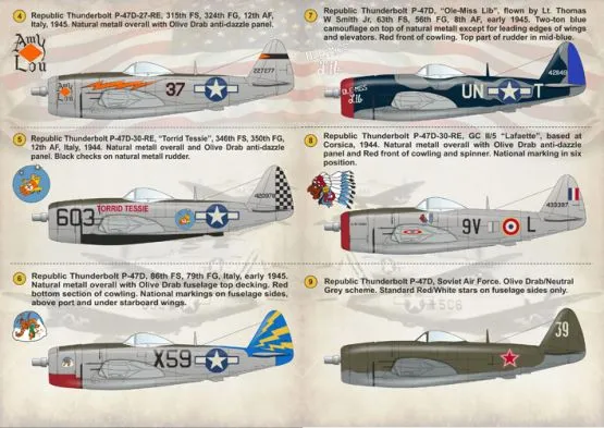 P-47 Thunderbolt 1:144