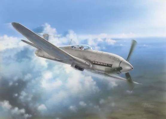 Heinkel He 100D - Soviet and Japanes test 1:32