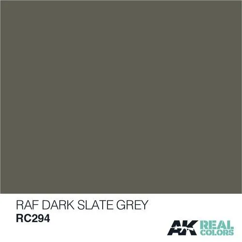 RAF Dark Slate Grey 10ml