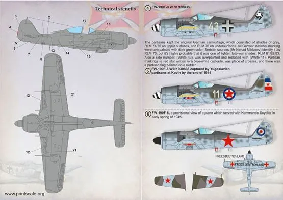 Fw 190 in Foreign Service Part.2