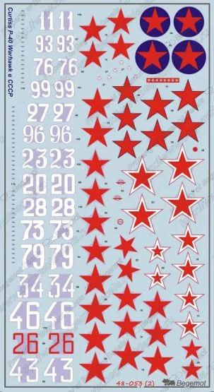 P-40 in the USSR 1:48