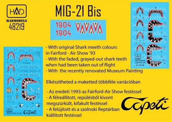 MiG-21bis Capeti last flight 1993 1:48