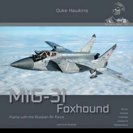 MiG-31 Foxhaund - Aircraft in detail 012