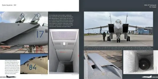 MiG-31 Foxhaund - Aircraft in detail 012