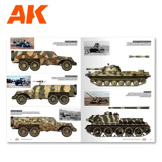 Middle East Wars 1948-1973 (Profile Guide)