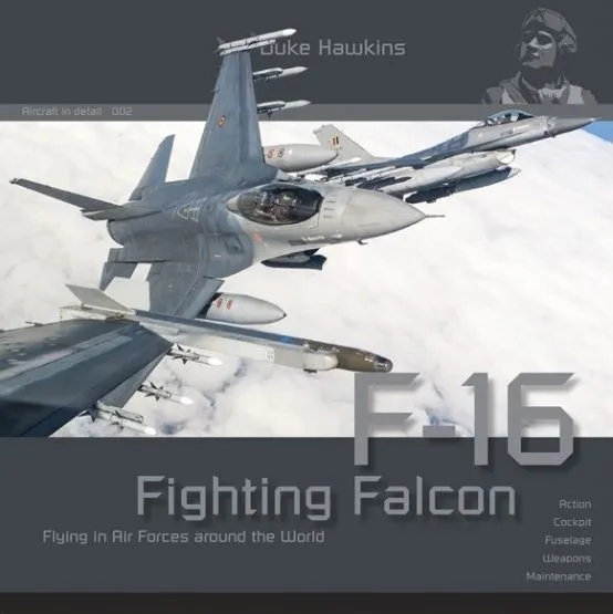 F-16 - Aircraft in detail 002
