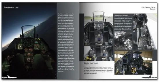 F-16 - Aircraft in detail 002