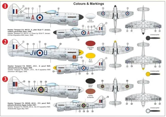 Tempest F.6 - Silver wings 1:72