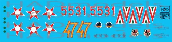 MiG-21Bis 5531 - The last flight 1:48