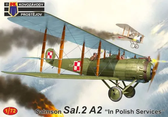 Salmson Sal.2A2 - In Polish Services 1:72
