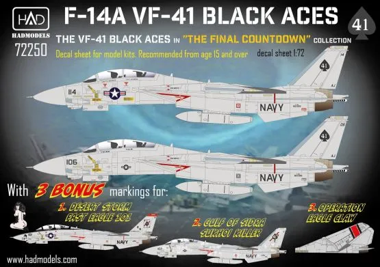 F-14A Black Aces ”The Final Countdown” 1:72