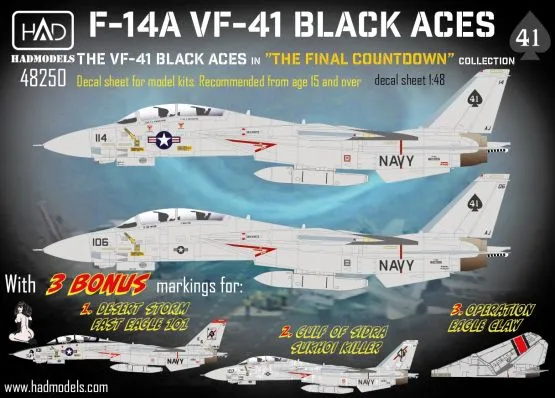 F-14A Black Aces ”The Final Countdown” 1:48