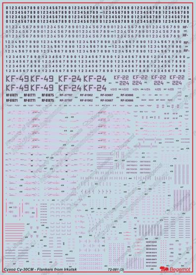 Su-30SM Flankers from Irkutsk 1:72