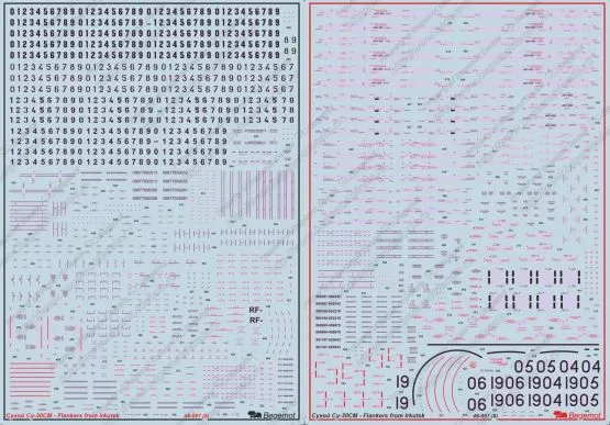 Su-30SM Flankers from Irkutsk 1:48