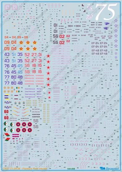 Su-30SM Flankers from Irkutsk 1:144