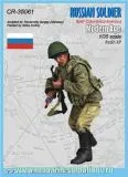 Russian Soldier (BMP Crew Infantry) 1:35