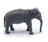 Asian Elephant 1:72
