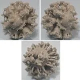 Pratt & Whitney R-1830-86 Twin Wasp 1:48