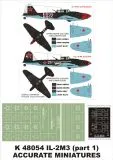 Il-2M3 super mask for ACC. M. 1:48 Il-2M3 super mask for ACC. M. 1:48