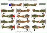 Albatros DIII (OEF) in Polish Service 1:48
