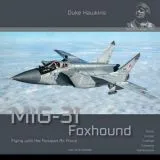 MiG-31 Foxhaund - Aircraft in detail 012