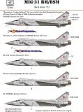 MiG-31BM/BSM Foxhound 1:72 MiG-31BM/BSM Foxhound 1:72
