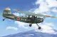 Cessna L-19/O-1 Bird Dog - Asian Service 1:32