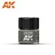 RAF Dark Slate Grey 10ml