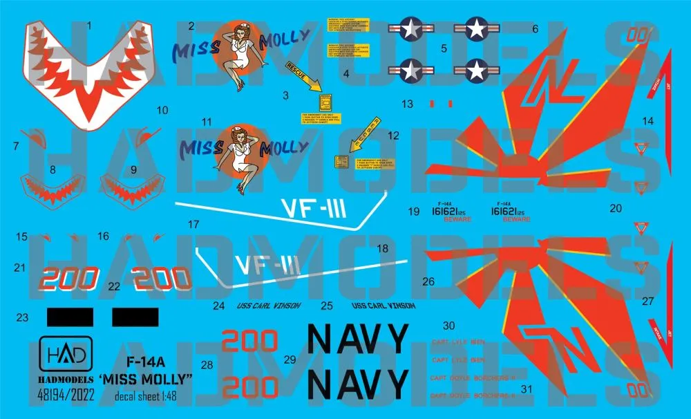 F-14A VF-111 - Sundowners 1:48
