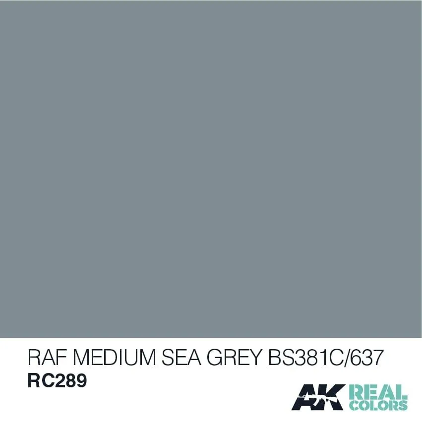 RAF Medium Sea Grey BS381C/637 10ml