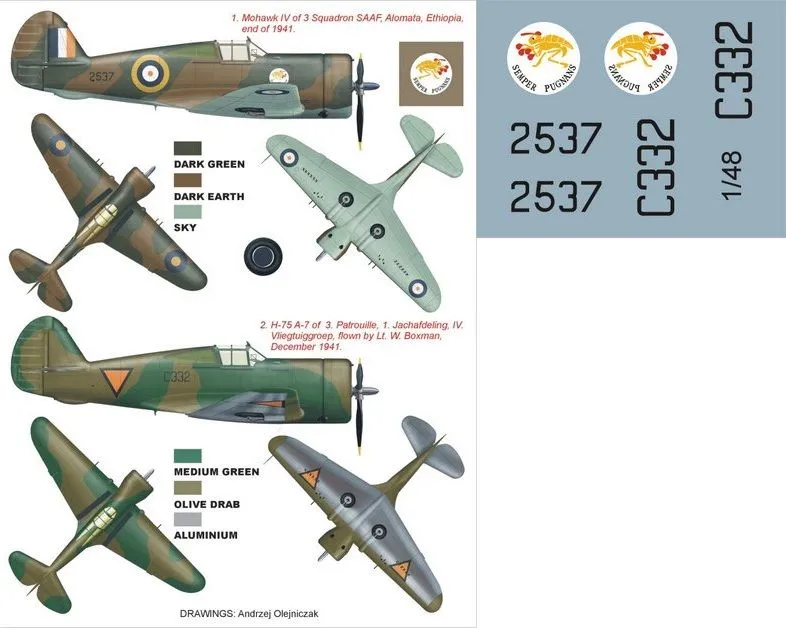 P-36 MOHAWK super mask for Academy 1:48