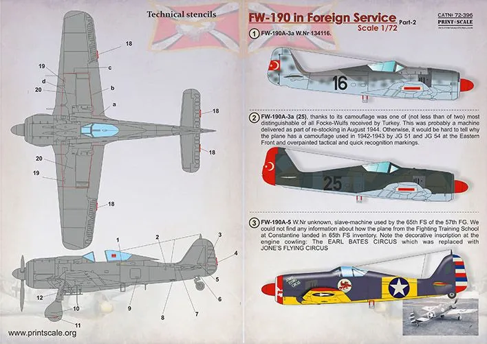 Fw 190 in Foreign Service Part.2