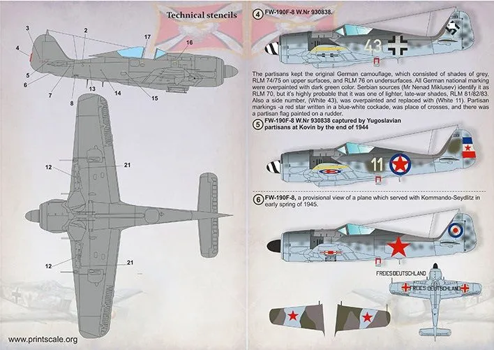 Fw 190 in Foreign Service Part.2