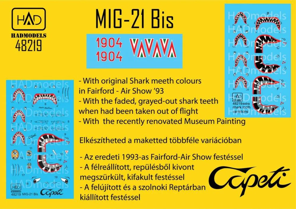 MiG-21bis Capeti last flight 1993 1:48