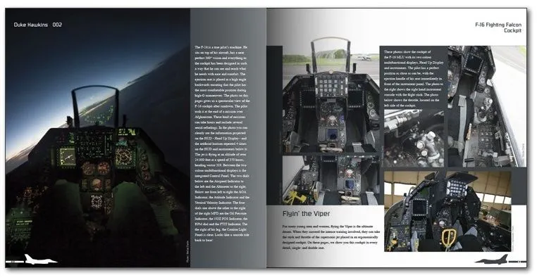 F-16 - Aircraft in detail 002