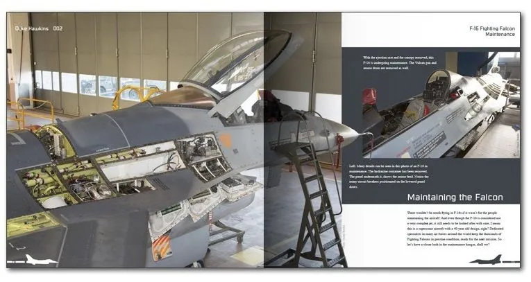 F-16 - Aircraft in detail 002