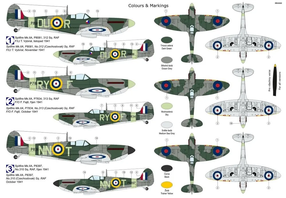 Spitfire Mk.IIa - Far from the Home 1:72