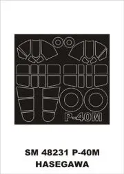 P-40M mask für Hasegawa 1:48