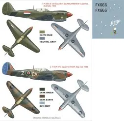 P-40N super mask for Hasegawa 1:48
