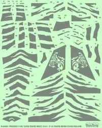 F-16C NATO Tiger Meet 2015 (Demo Team Poland) 1:48