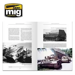 Panzer DNA (ENGLISH)