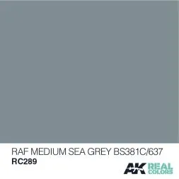 RAF Medium Sea Grey BS381C/637 10ml