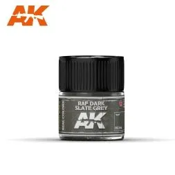 RAF Dark Slate Grey 10ml
