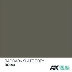 RAF Dark Slate Grey 10ml