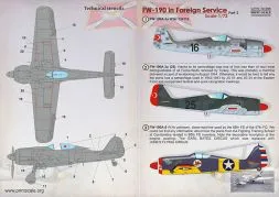 Fw 190 in Foreign Service Part.2